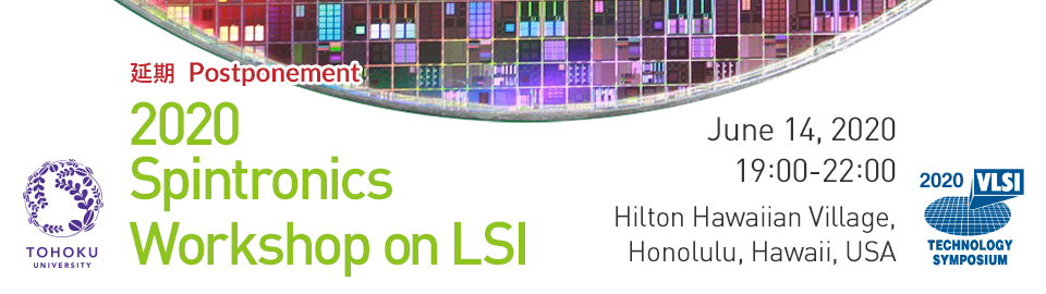 2020 Spintronics Workshop on LSI