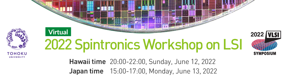 2022 Spintronics Workshop on LSI